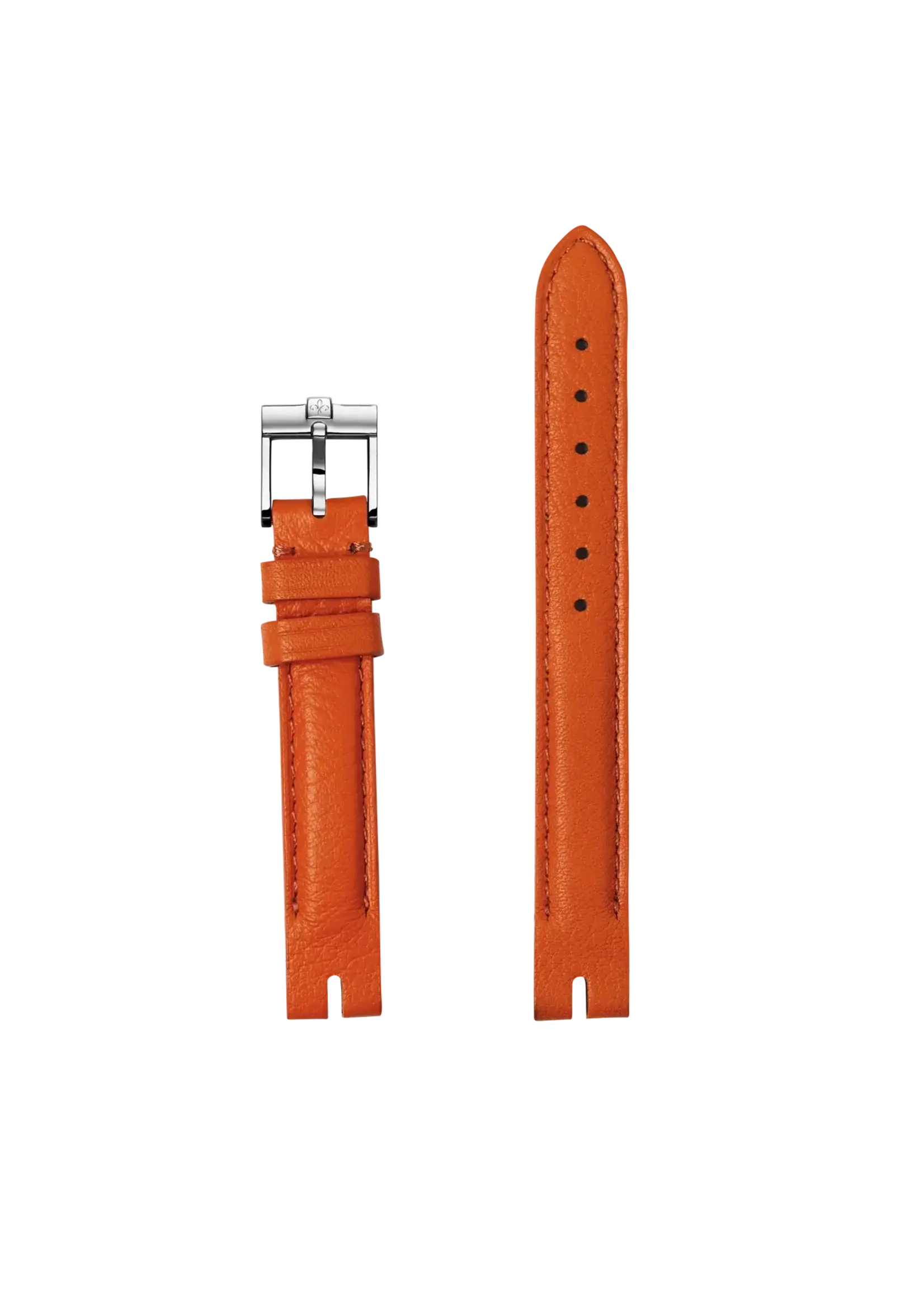 Pequignet Montre Equus Attelage