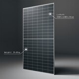 Trina Astronergy CHSM66N(DG)/F-BH Bifacial 705 Wp zonnepaneel