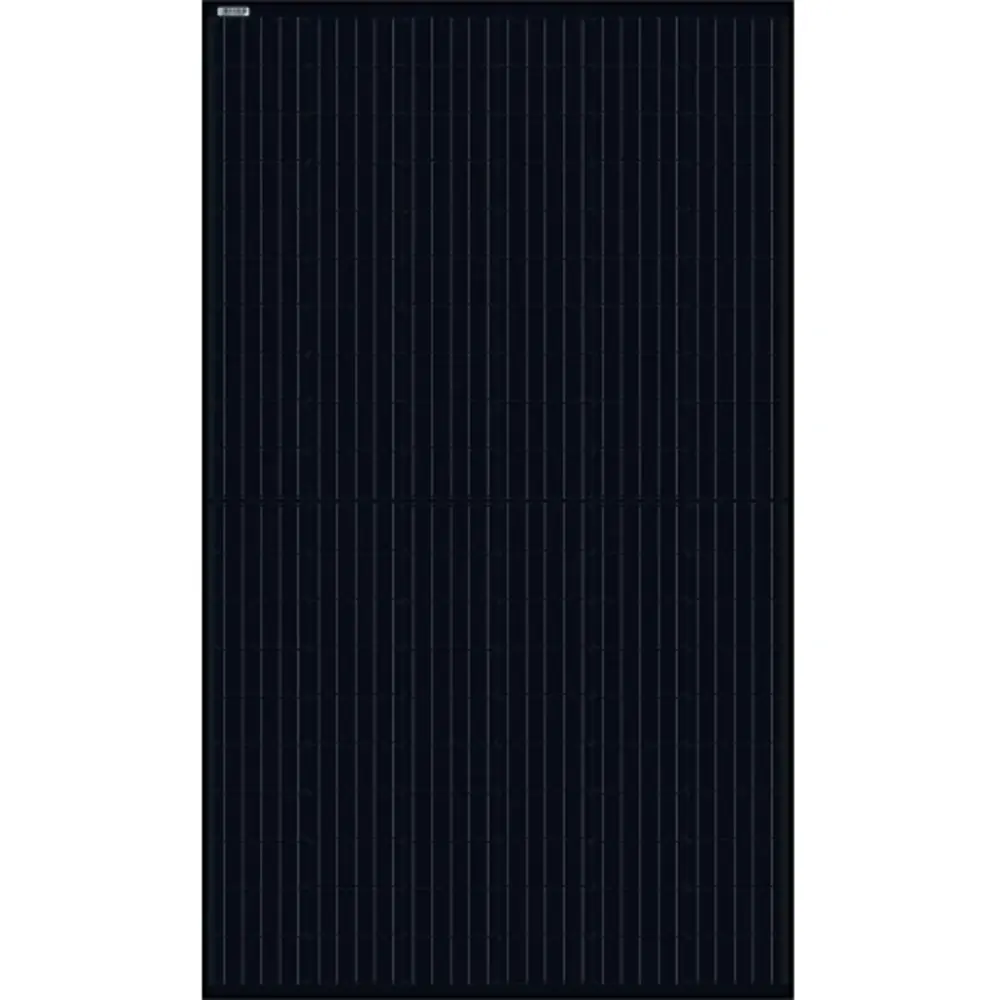 DMEGC DMEGC DM325G1-G60HBB 325 Wp zonnepaneel