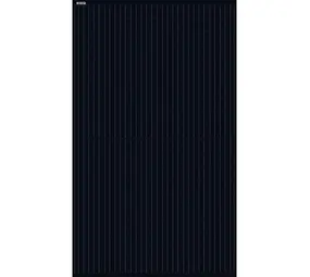 DMEGC DMEGC DM325G1-G60HBB 325 Wp zonnepaneel
