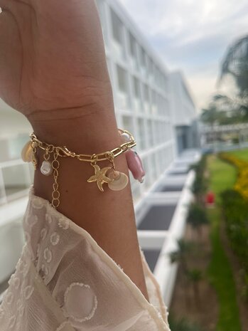 Schakelarmband met bedels