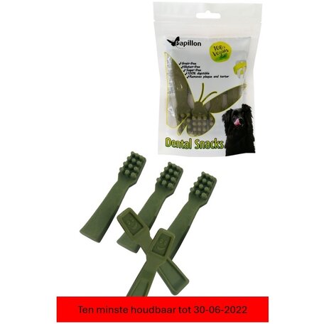 Papillon Vegane Zahnbürste (Grün Medium)