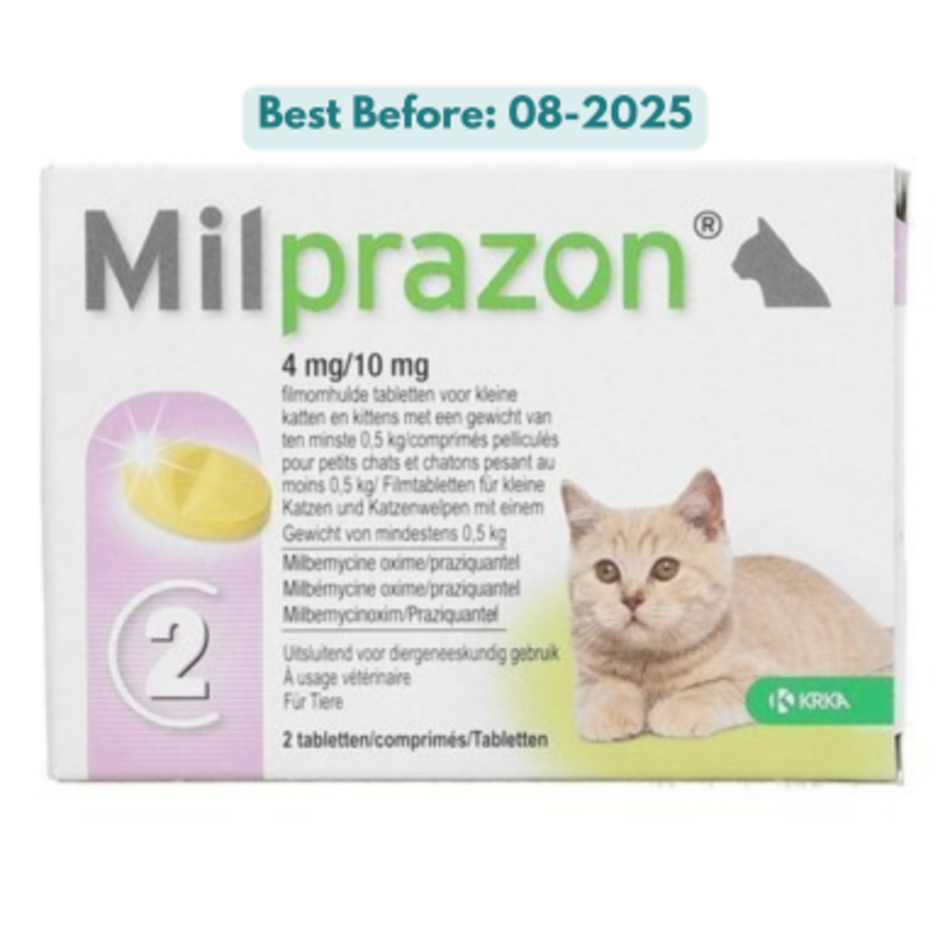 Milprazon Little Cat/Kitten