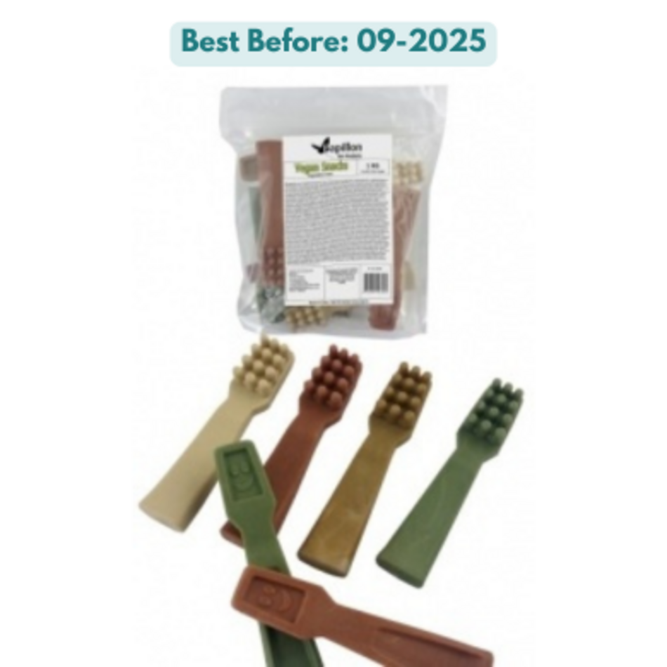 Papillon Vegan Toothbrush 1kg (4 colors mix Large)