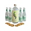 Seedlip Garden 108 Alcoholvrij Gin Tonic pakket Fever-Tree Elderflower