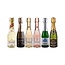 Alcoholvrije variërende mousserende wijn proefpakket 6 x 20CL