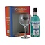 Ginsin 12 Botanics 70CL Geschenkverpakking met Glas