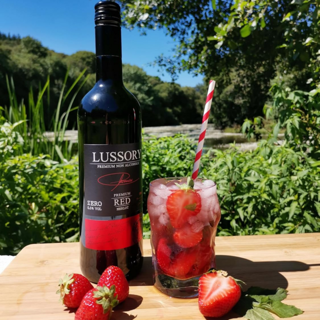 Lussory Zero Merlot 75CL