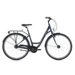 Ridgeback Ridgeback Avenida 7