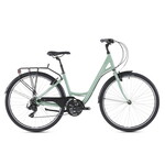 Ridgeback Ridgeback Avenida 21
