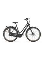 Gazelle Gazelle Esprit T3 Low step