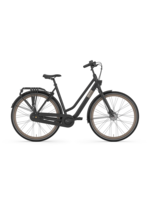 Gazelle Gazelle Esprit T7 Low-Step