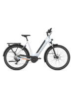 Gazelle Gazelle Ultimate T10 HMB Low-Step