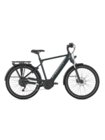 Gazelle Gazelle Medeo T10 HMB - High-Step