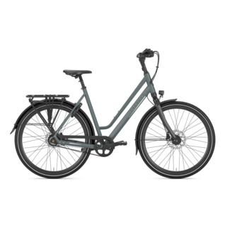 Gazelle Chamonix S8 Low-Step