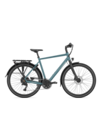 Gazelle Gazelle Chamonix T20 High-Step