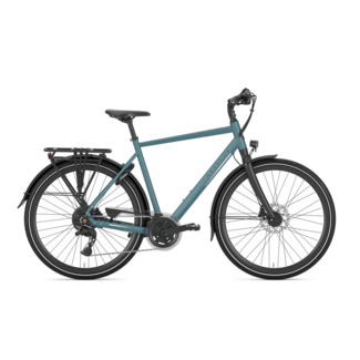 Gazelle Chamonix T20 High-Step