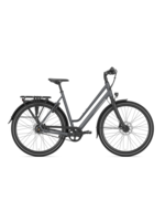 Gazelle Gazelle Chamonix S11 Low-Step