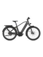 Gazelle Gazelle Eclipse C380 HMB High-Step
