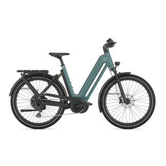 Gazelle Eclipse T11 HMB Low-Step
