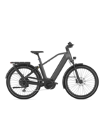 Gazelle Gazelle Eclipse T11 HMB High-Step