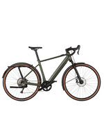 Riese & Müller Riese & MÃ¼ller UBN Five Commute Base Model