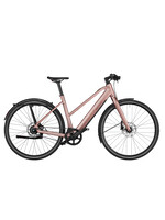 Riese & Müller Riese & MÃ¼ller UBN Seven Silent Base Model