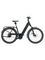 Riese & Müller Riese & MÃ¼ller Nevo4 GT Rohloff Stock Bikes