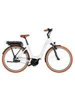 Riese & Müller Riese & MÃ¼ller Swing4 Automatic Custom Order