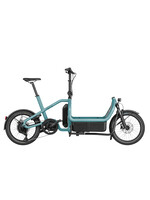 Riese & Müller Riese & MÃ¼ller Carrie Touring Custom Order