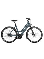 Riese & Müller Riese & MÃ¼ller Culture Mixte Silent Custom Order