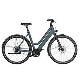 Riese & Müller Culture Mixte Silent Custom Order