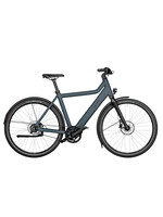 Riese & Müller Riese & MÃ¼ller Culture Silent Custom Order