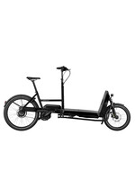 Riese & Müller Riese & MÃ¼ller Transporter2 65 Vario Custom Order