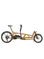 Riese & Müller Riese & MÃ¼ller Load4 60 Touring Custom Order