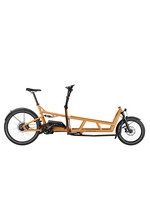 Riese & Müller Riese & MÃ¼ller Load4 75 Vario Custom Order