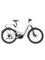 Riese & Müller Riese & MÃ¼ller Homage4 GT Rohloff Custom Order