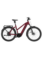 Riese & Müller Riese & MÃ¼ller Charger4 Mixte GT Vario Custom Order