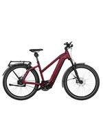 Riese & Müller Riese & MÃ¼ller Charger4 Mixte GT Rohloff Custom Order