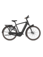 Gazelle Gazelle Grenoble C8+ HMB High-step