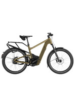 Riese & Müller Riese & Müller Delite5 Vario Custom Order