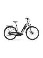 Raleigh Raleigh Motus Hub Gear - 500Wh