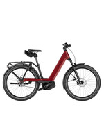 Riese & Müller Riese & Müller Nevo5 Pinion Custom Order