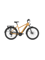 Gazelle Gazelle Medeo T10 HMB - Mid-step