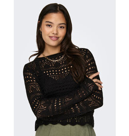 JDY Trui Sun Black