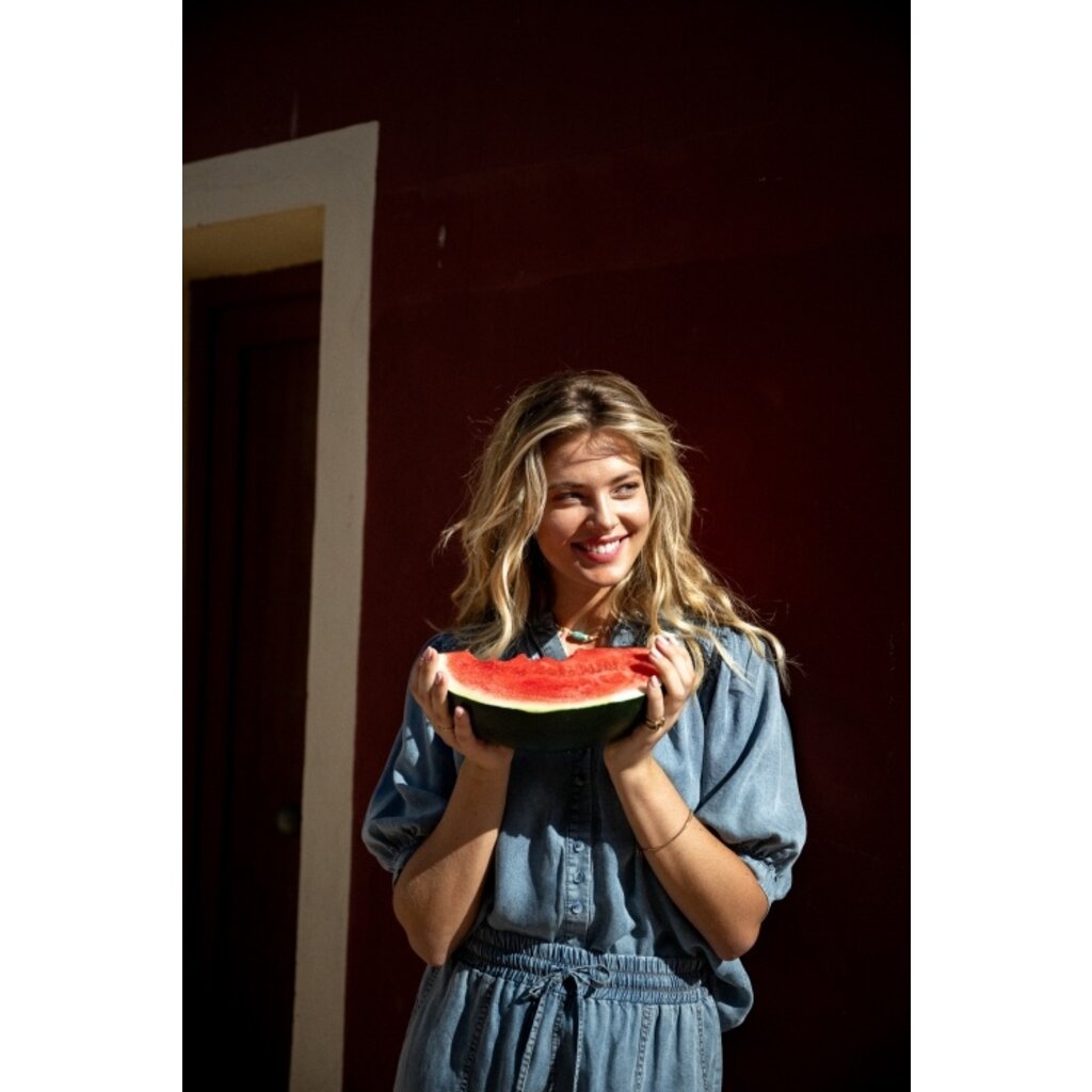 C&S the label Top Monterosso Denim