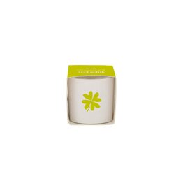 Zusss geurkaarsje in wikkel klavertje wit/groen