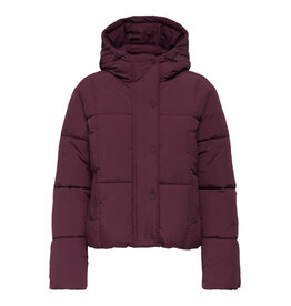 JDY Jacket Wonder Fig