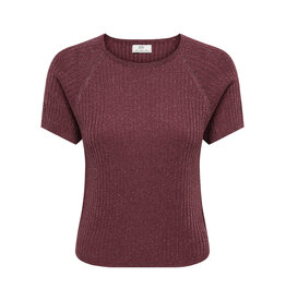 JDY Trui Bodilla Oxblood