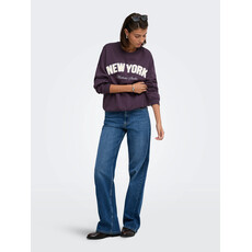 JDY Trui Mesa Plum